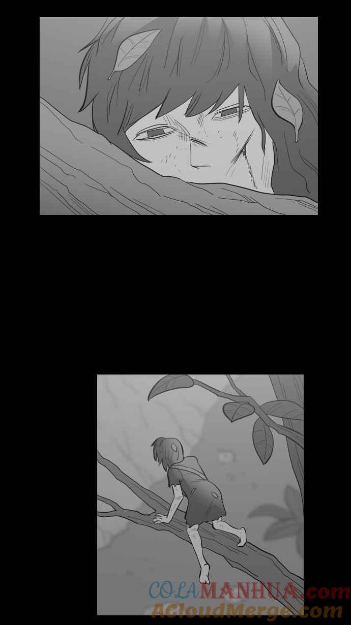 黑盒子 [第259话] 巫女巫(1) 第17页