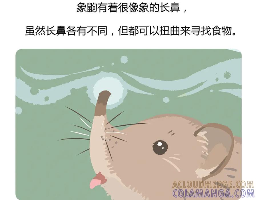 《胖达x胖达》第60话 第29页
