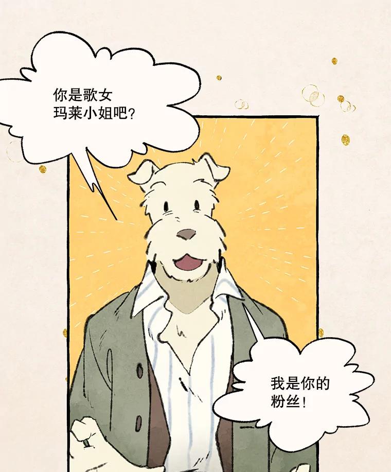 《在流星坠落之处等待》79.银色猫头鹰（3） 第46页