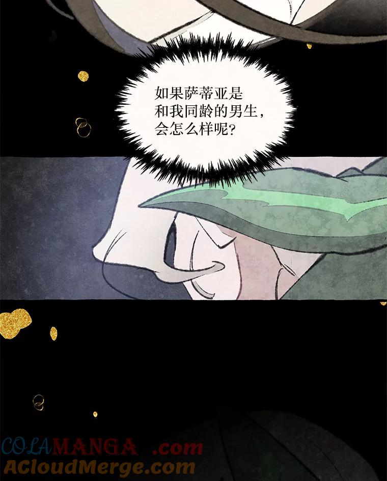 《在流星坠落之处等待》79.银色猫头鹰（3） 第89页