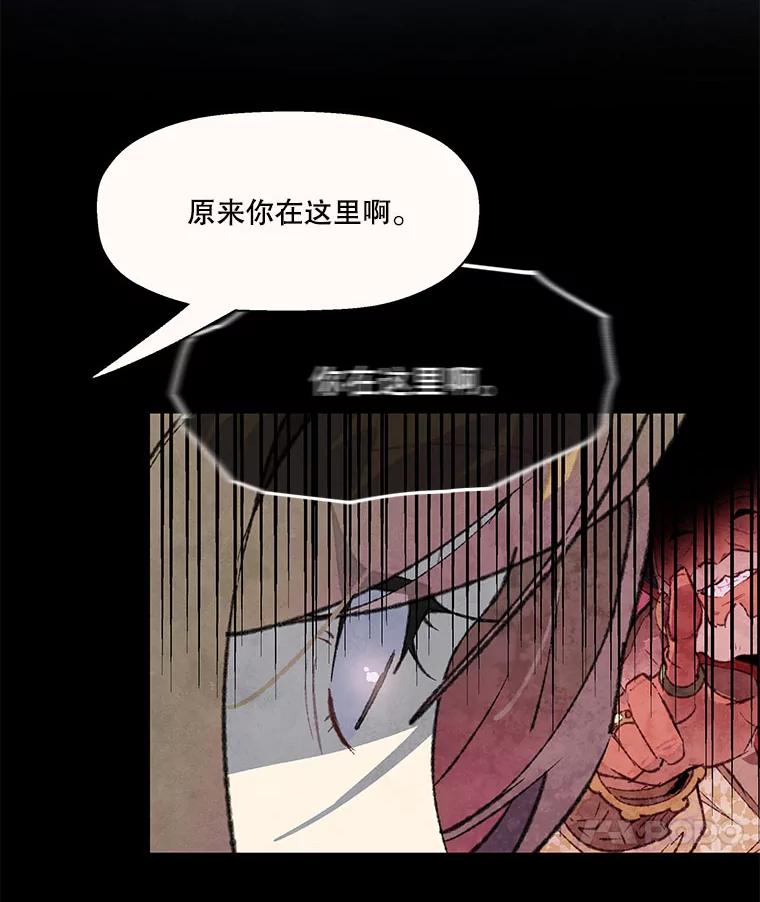 《在流星坠落之处等待》79.银色猫头鹰（3） 第44页