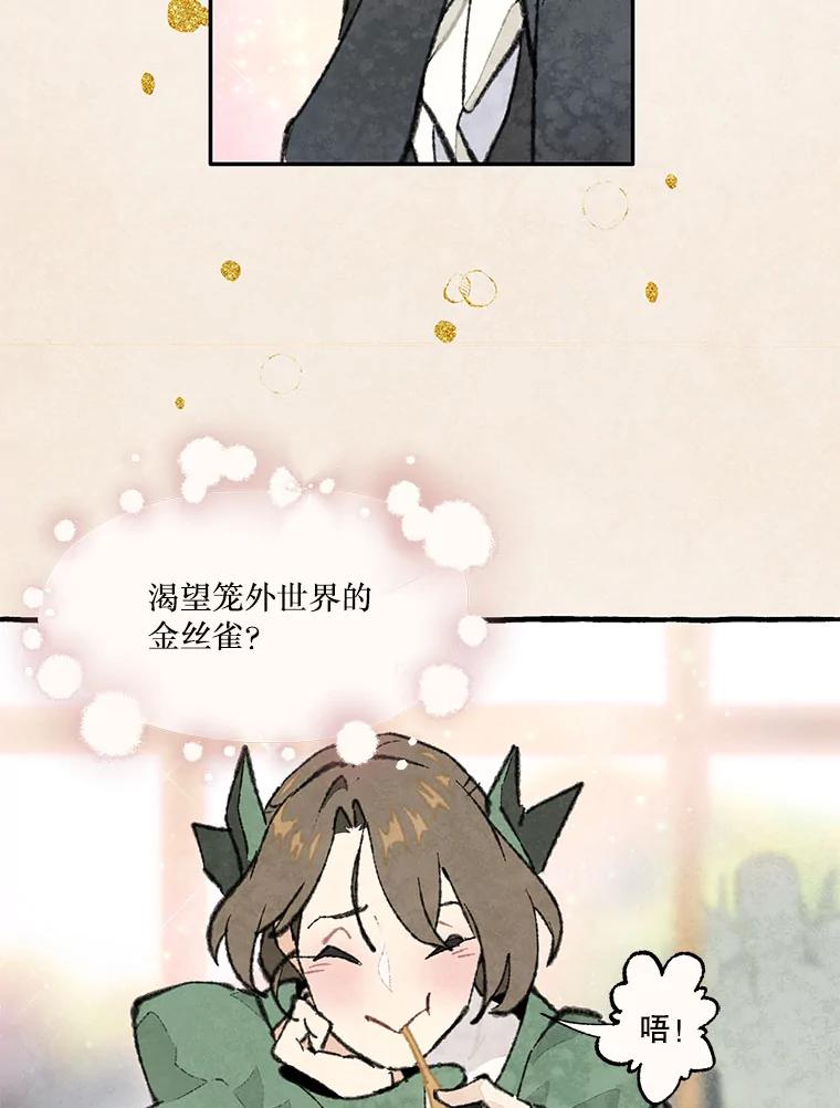 《在流星坠落之处等待》79.银色猫头鹰（3） 第39页