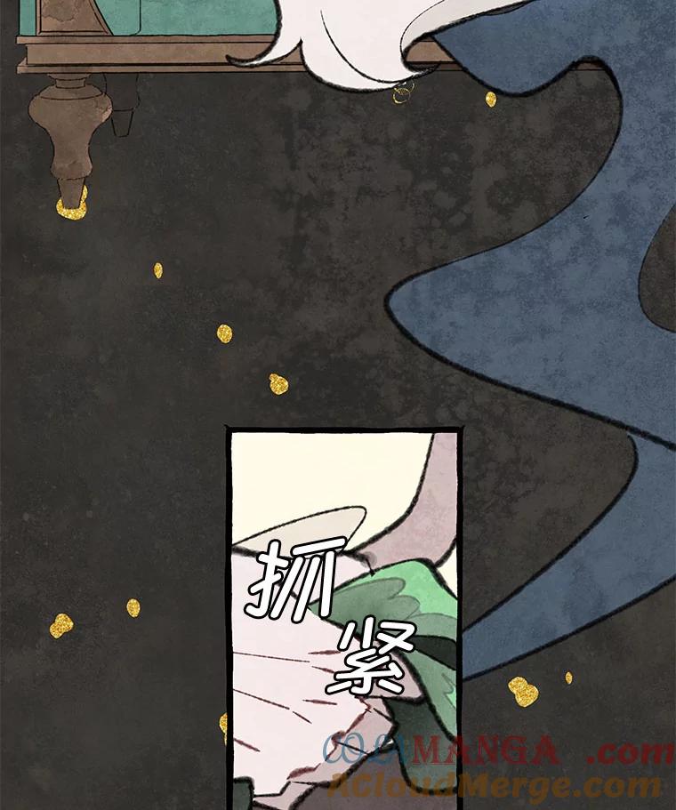 《在流星坠落之处等待》79.银色猫头鹰（3） 第97页