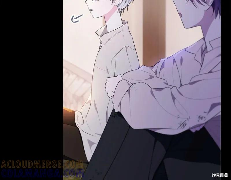 《明明是冷美人小姐却变成了忠犬大少爷》第96话 第13页