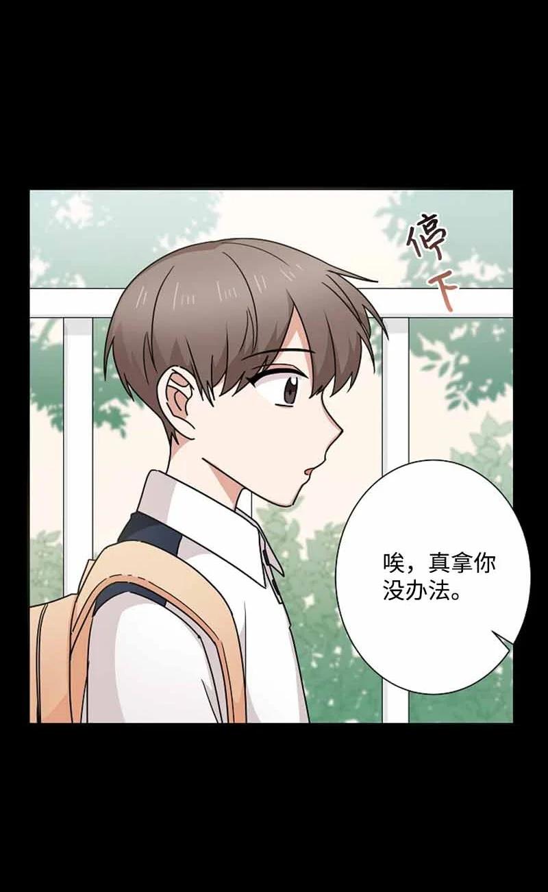 《我是眼镜控》23 我最爱的眼镜展示架 第35页