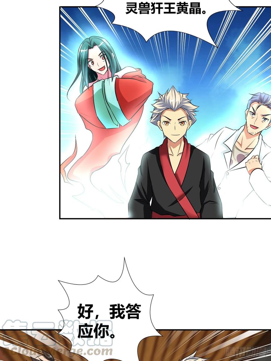 我是医神 稳赚不赔的赌约 第13页