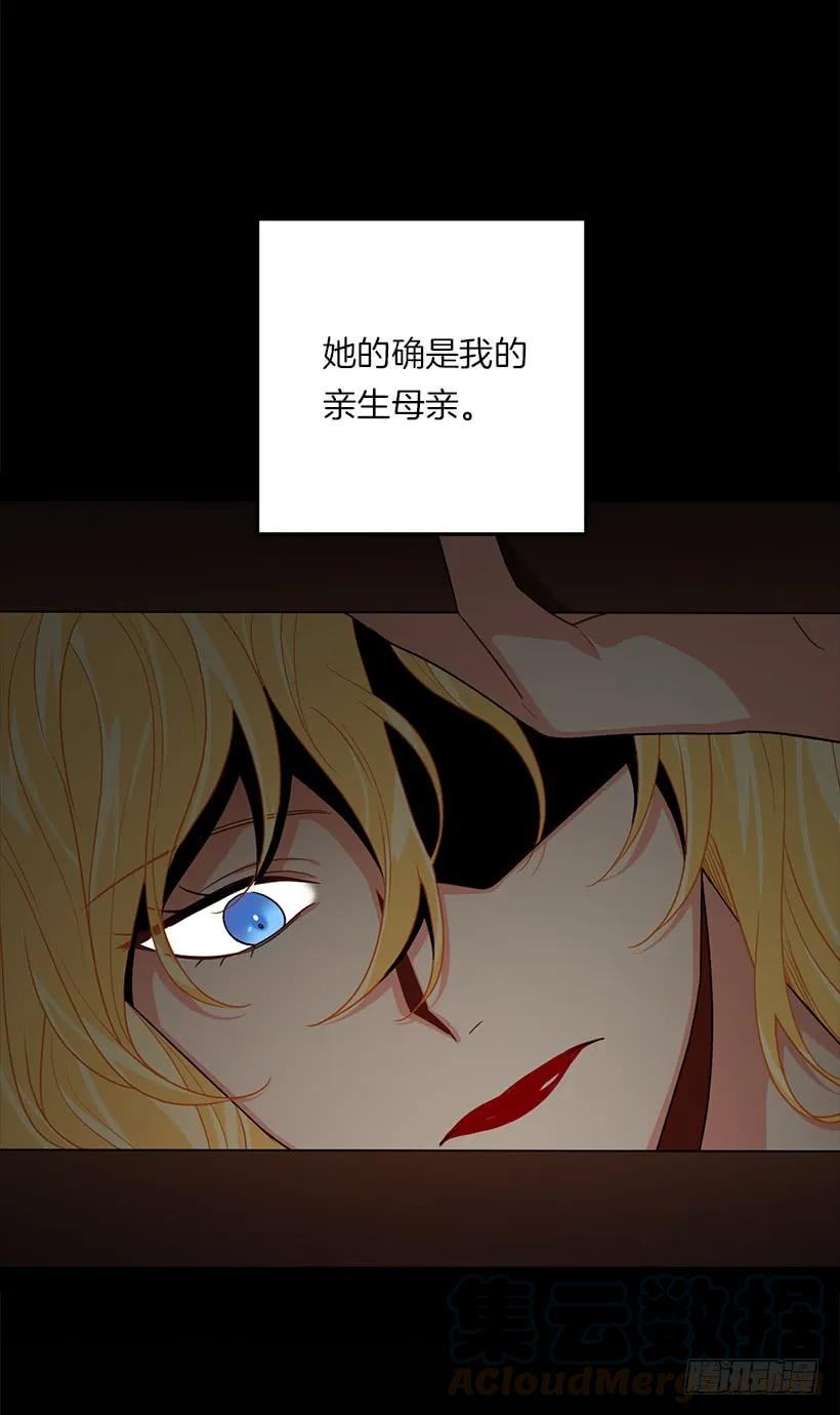 我是这家的孩子 122.又见面了，我的亲生母亲 第33页