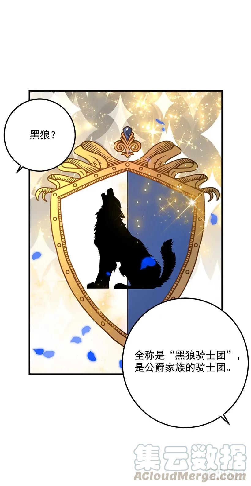 我是这家的孩子 贴身骑士埃默尔 第9页