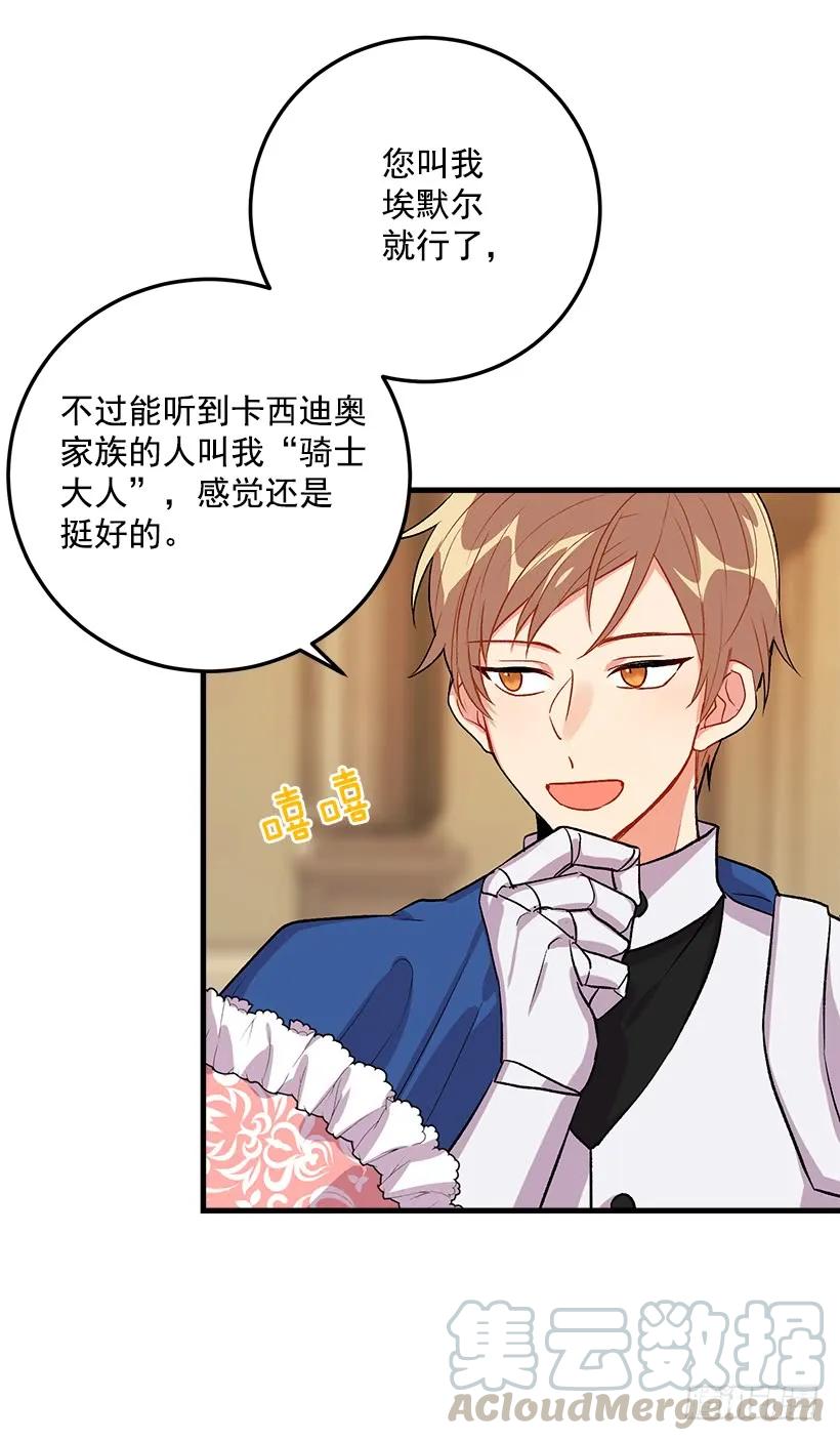 我是这家的孩子 贴身骑士埃默尔 第5页