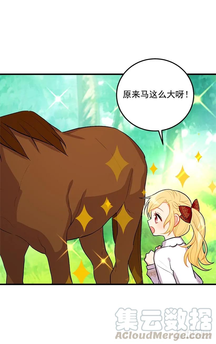 我是这家的孩子 精灵石 第5页