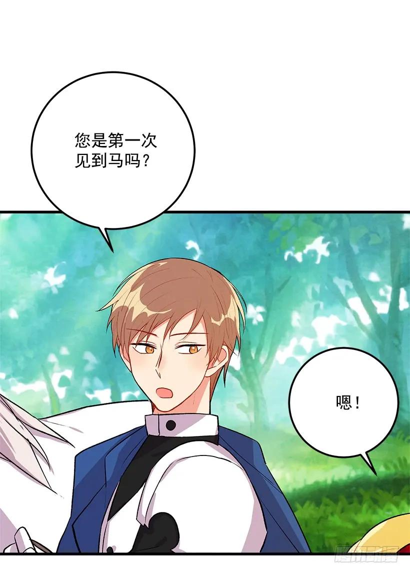 我是这家的孩子 精灵石 第6页