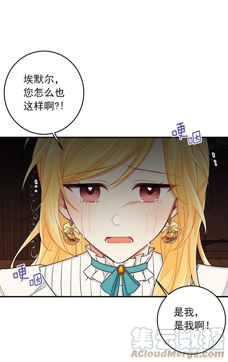 我是这家的孩子 199.假艾丝黛儿被识破 第25页