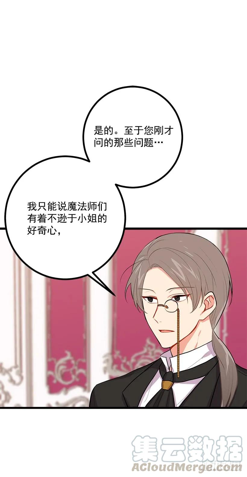 我是这家的孩子 魔法师与魔法师塔 第9页