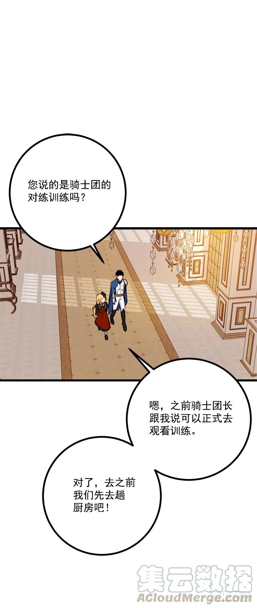 我是这家的孩子 去看骑士团训练喽 第9页