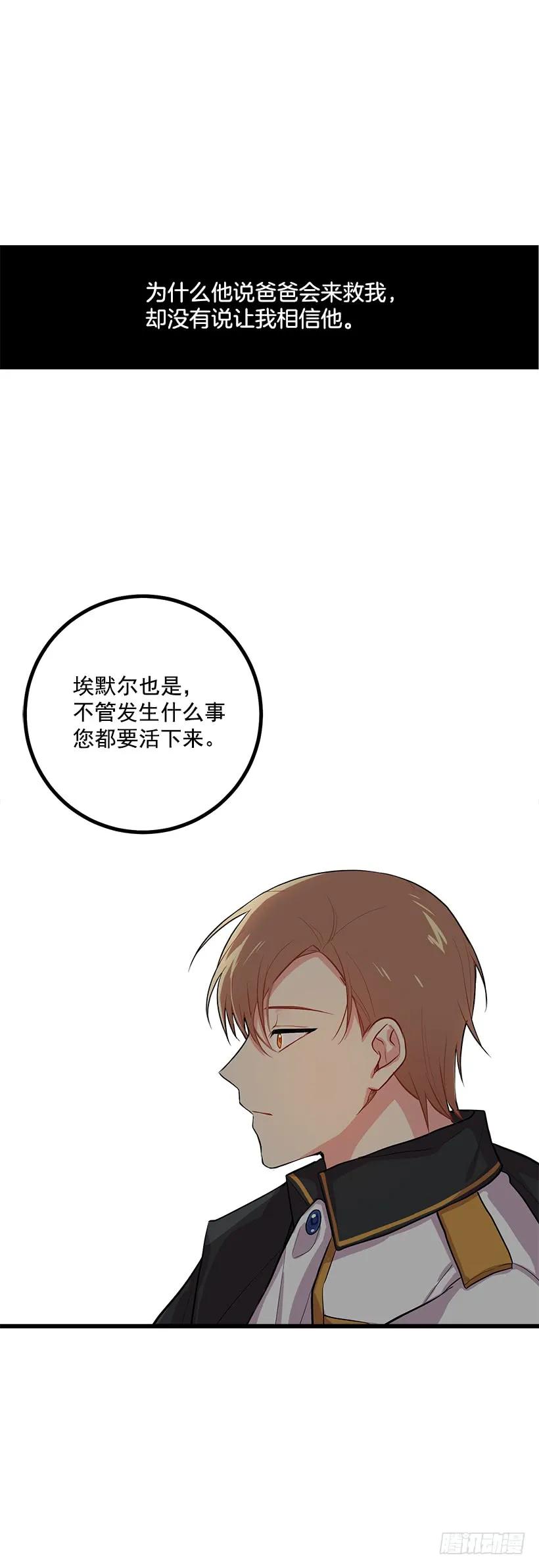 我是这家的孩子 埃默尔的嘱托 第36页
