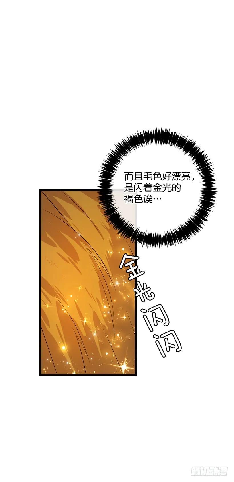 我是这家的孩子 熊 第15页