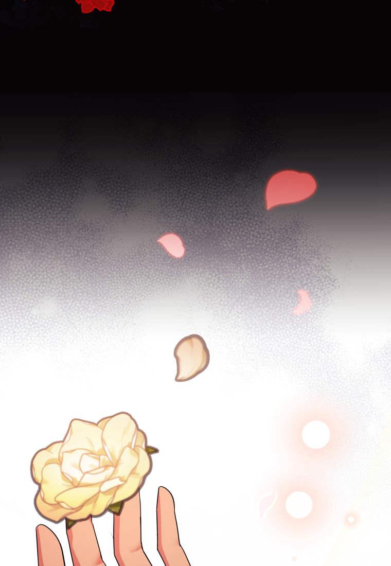 成为苏尔坦珍爱的猫咪 第52话 第54页