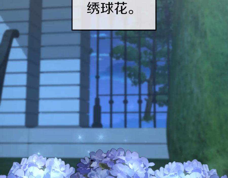 《小姐不愿意》第41话 落差 第183页