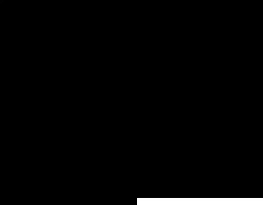 51.jpg