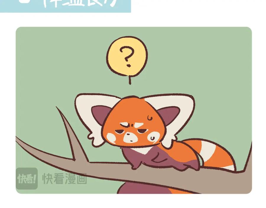 《胖达x胖达》第259话 第8页