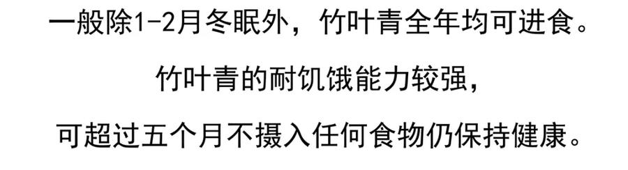《胖达x胖达》第74话 第30页