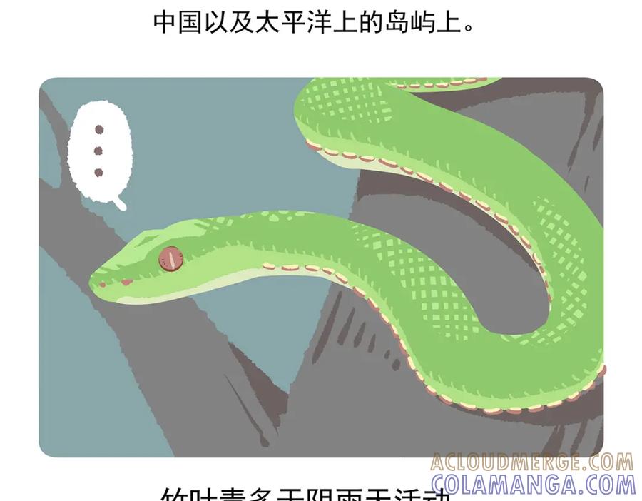 《胖达x胖达》第74话 第21页
