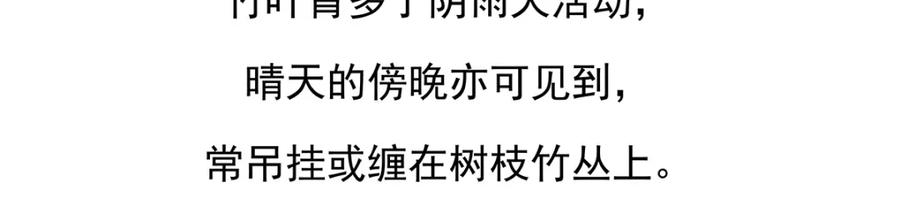 《胖达x胖达》第74话 第22页