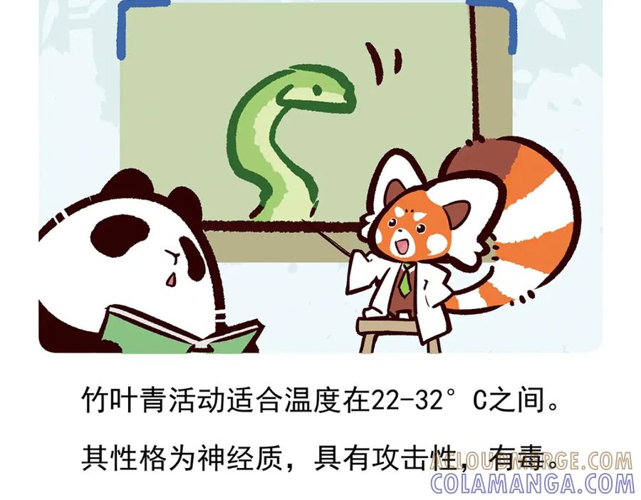 《胖达x胖达》第74话 第27页