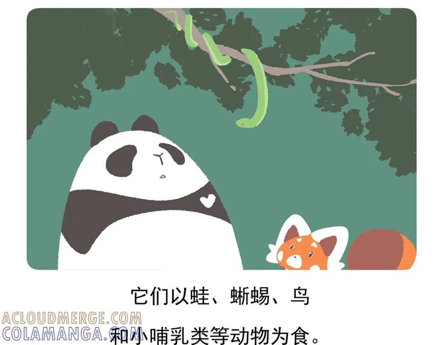 《胖达x胖达》第74话 第23页