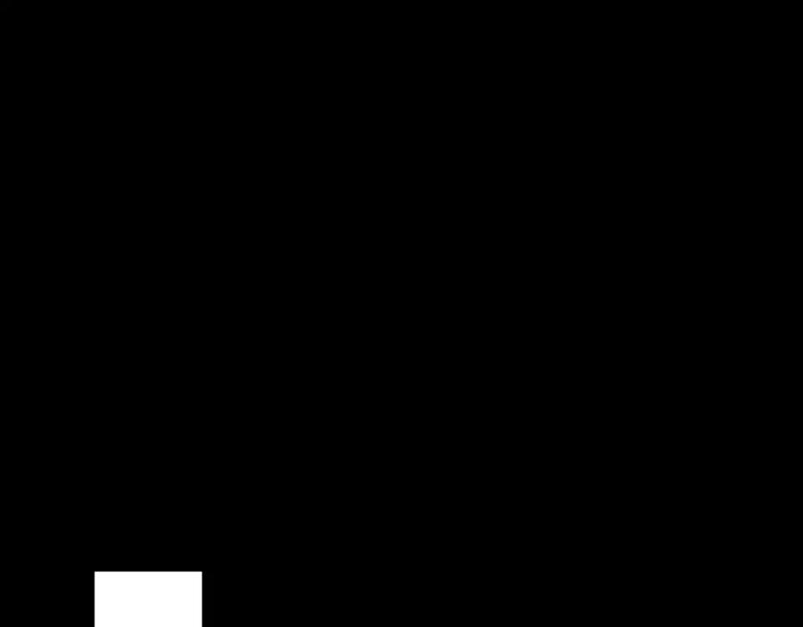 79.jpg