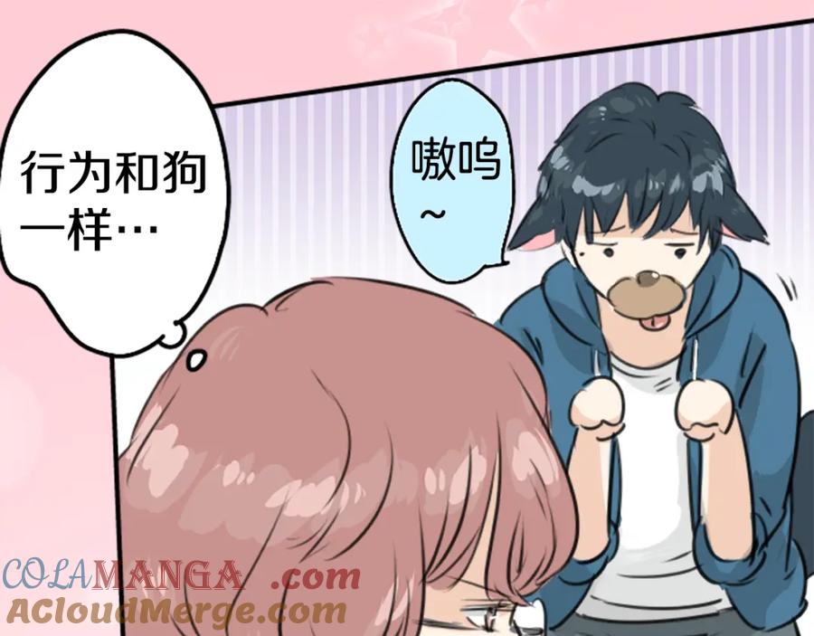《犬系男子恋爱中》第146话 我会当成传家宝 第34页