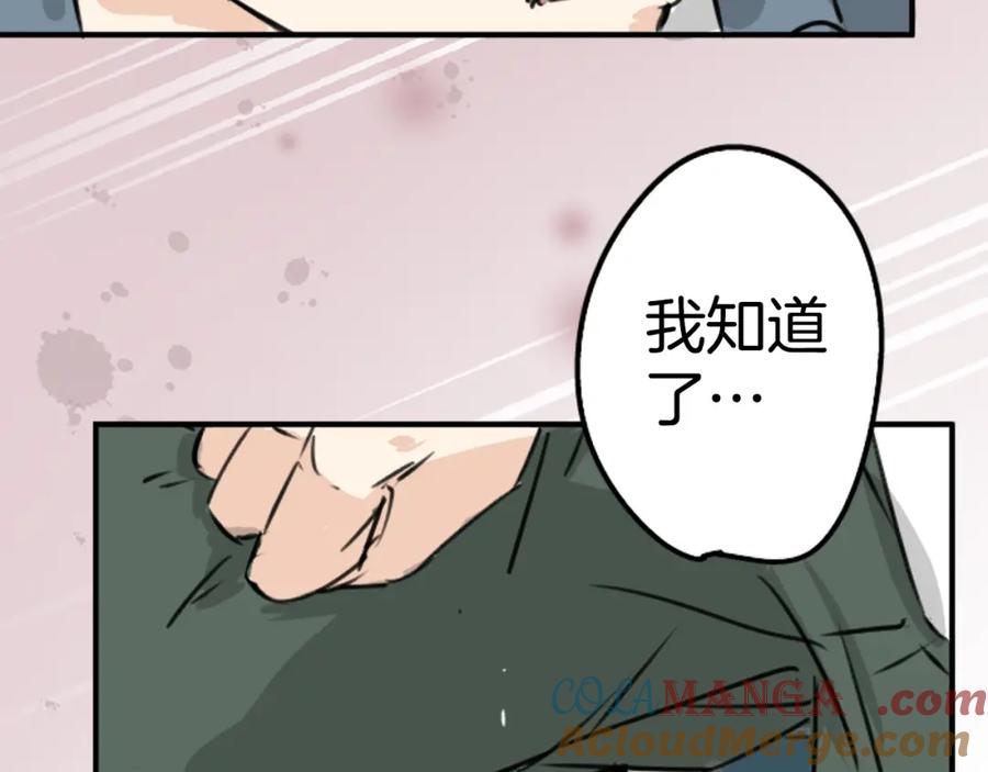 《犬系男子恋爱中》第196话 就算后悔了 第13页