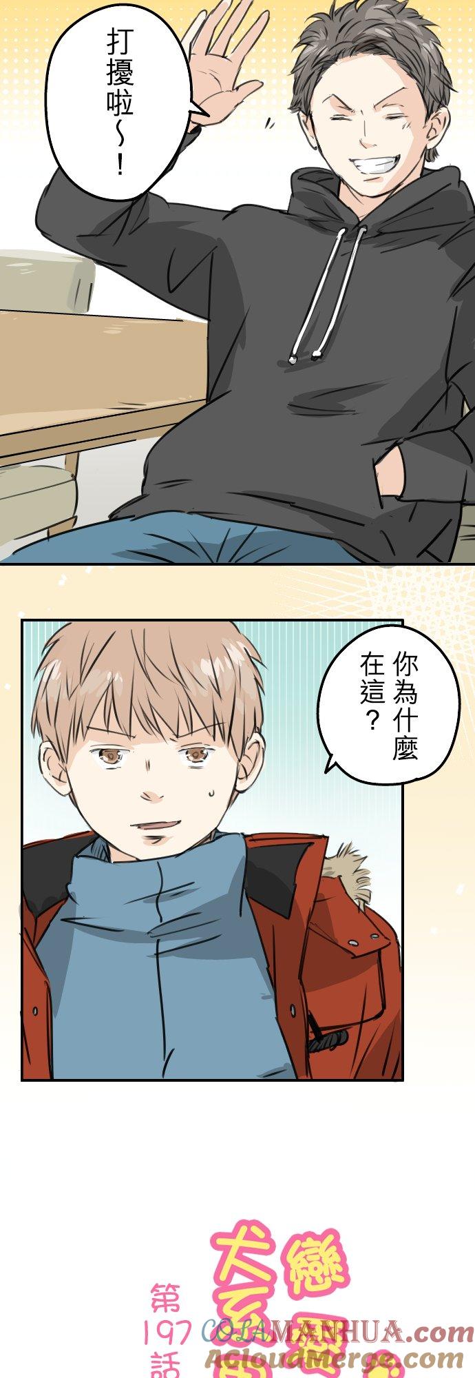《犬系男子恋爱中》第197话 好像是又好像不是 第3页