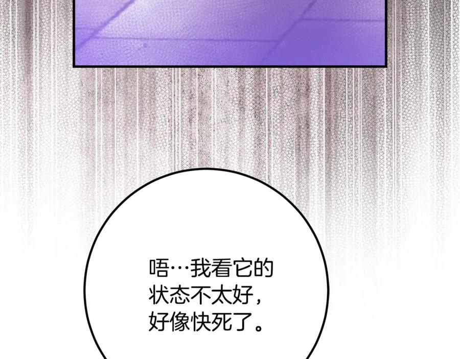 《刻薄公爵家的合约女儿》第20话 崽崽砍价 第132页