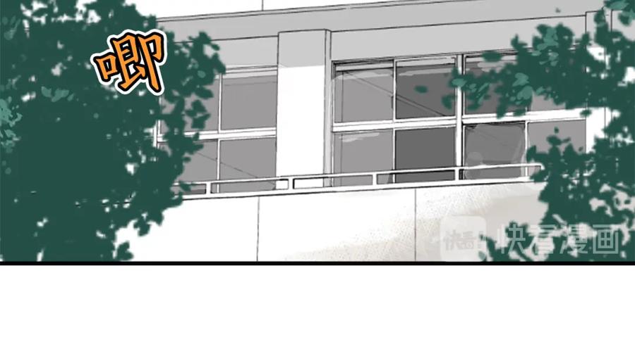 《犬系男子恋爱中》第203话 狮子岛南辉夏天回忆 第38页
