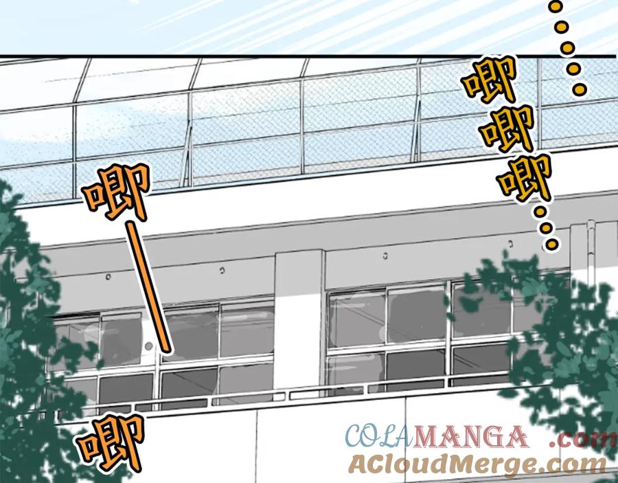 《犬系男子恋爱中》第203话 狮子岛南辉夏天回忆 第37页