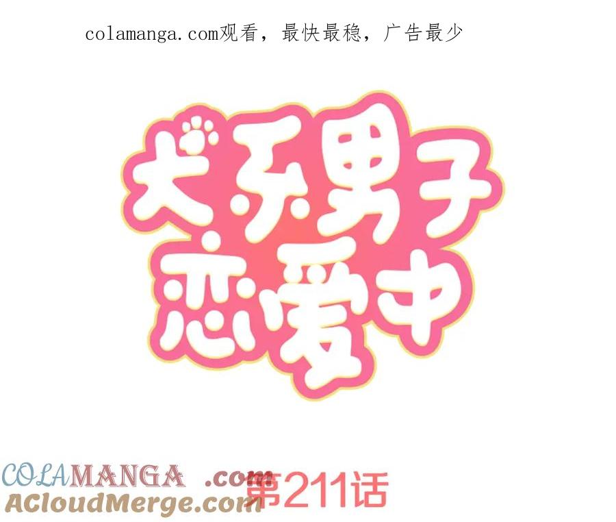 《犬系男子恋爱中》第211话每个人的圣诞节（1） 第1页