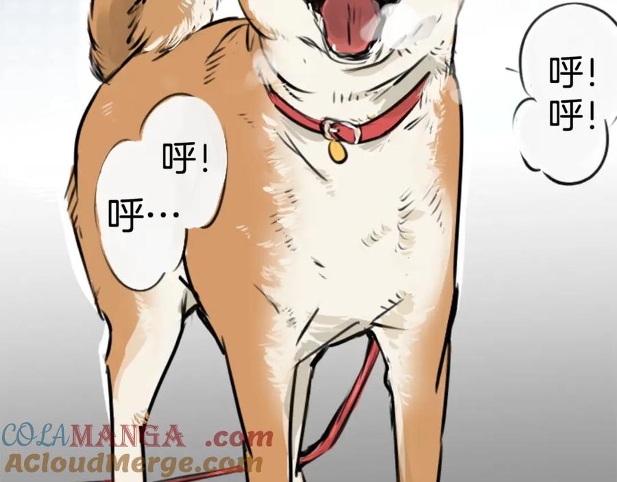 《犬系男子恋爱中》第218话身体和心灵都要冻僵了 第79页