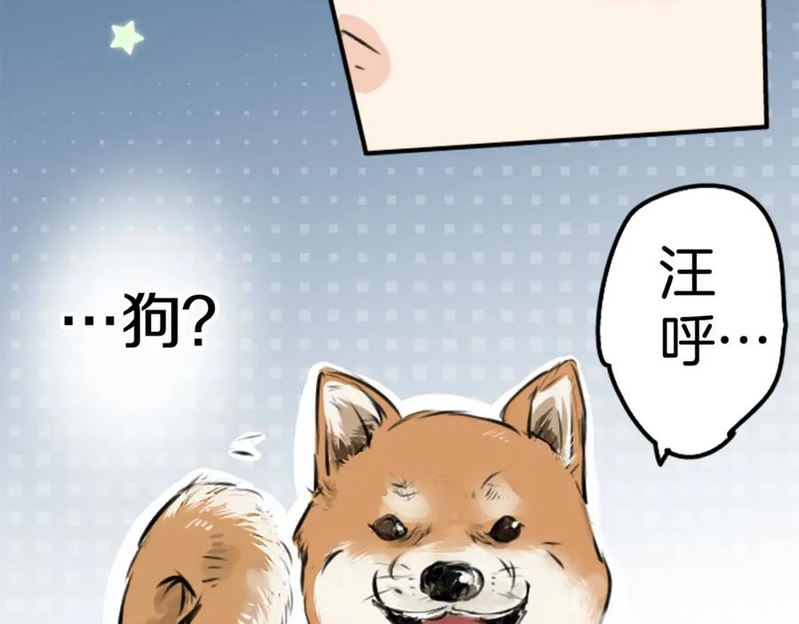 《犬系男子恋爱中》第218话身体和心灵都要冻僵了 第78页