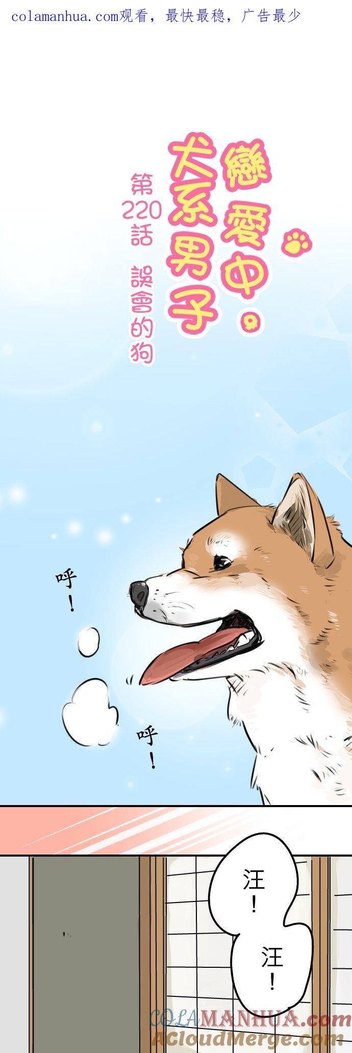 《犬系男子恋爱中》第220话 误会的狗 第1页