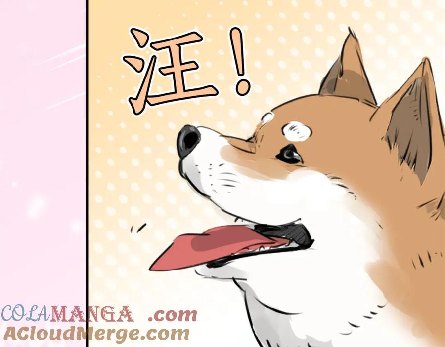《犬系男子恋爱中》第225话 胆小的生物（2） 第43页