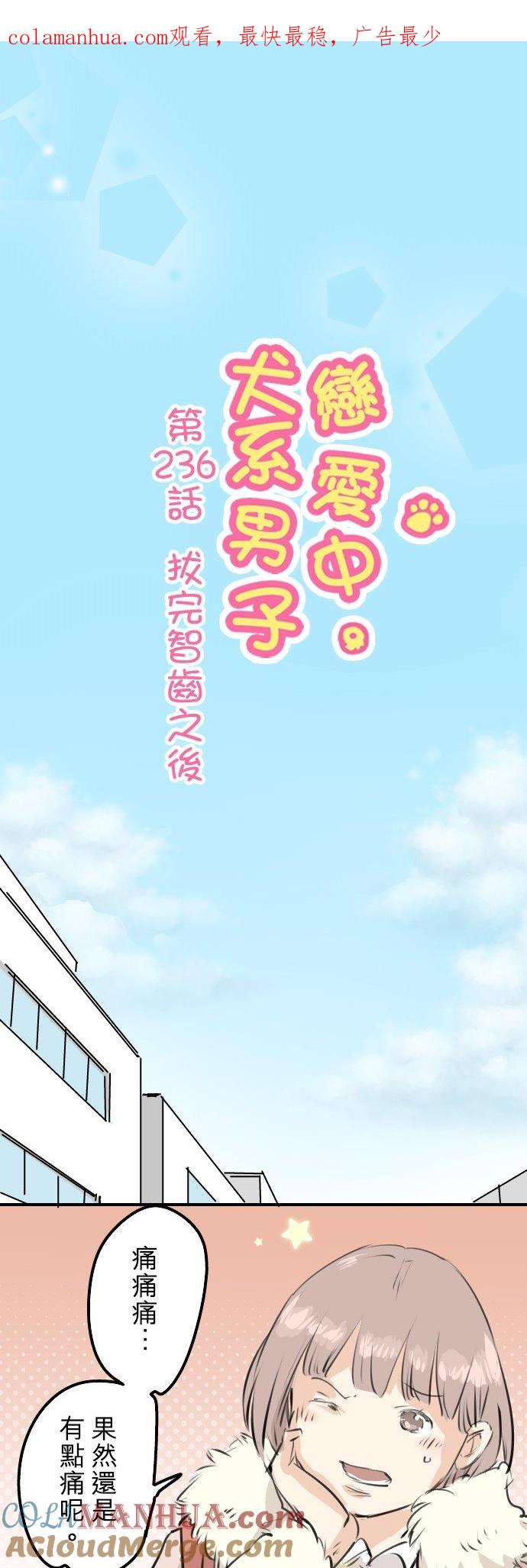 《犬系男子恋爱中》第236话 拔完智齿之后 第1页