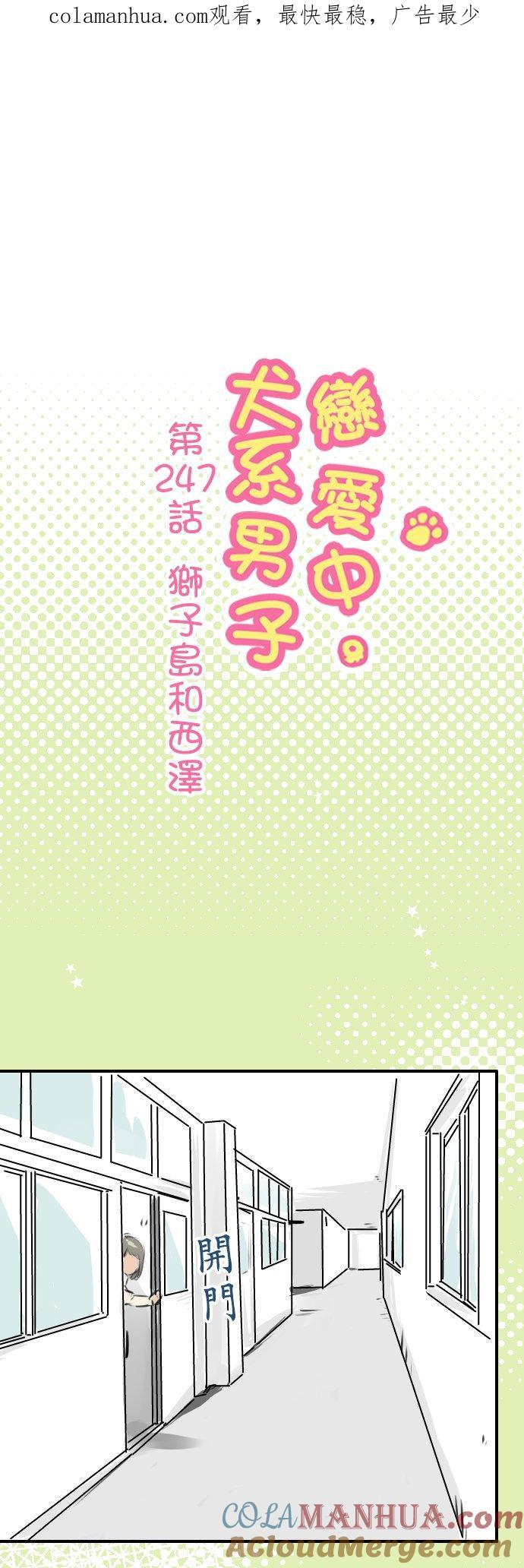 《犬系男子恋爱中》第247话 狮子岛和西泽 第1页