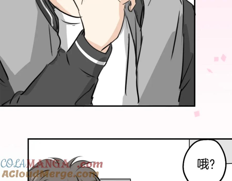 《犬系男子恋爱中》第248话 狮子岛和西泽（2） 第25页