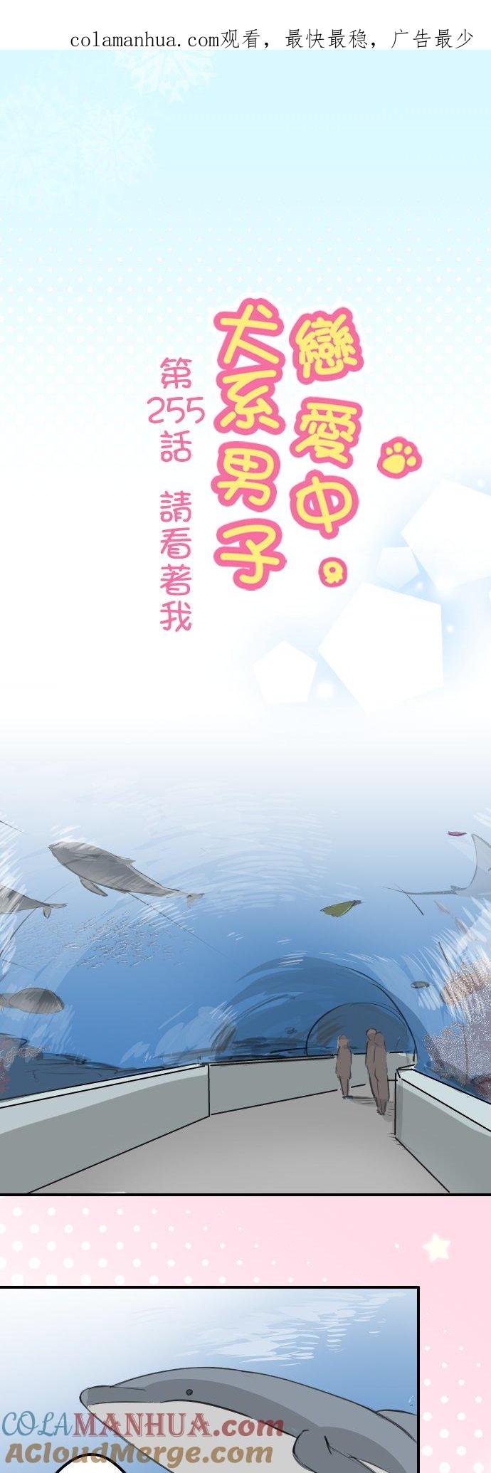 《犬系男子恋爱中》第255话 请看着我 第1页