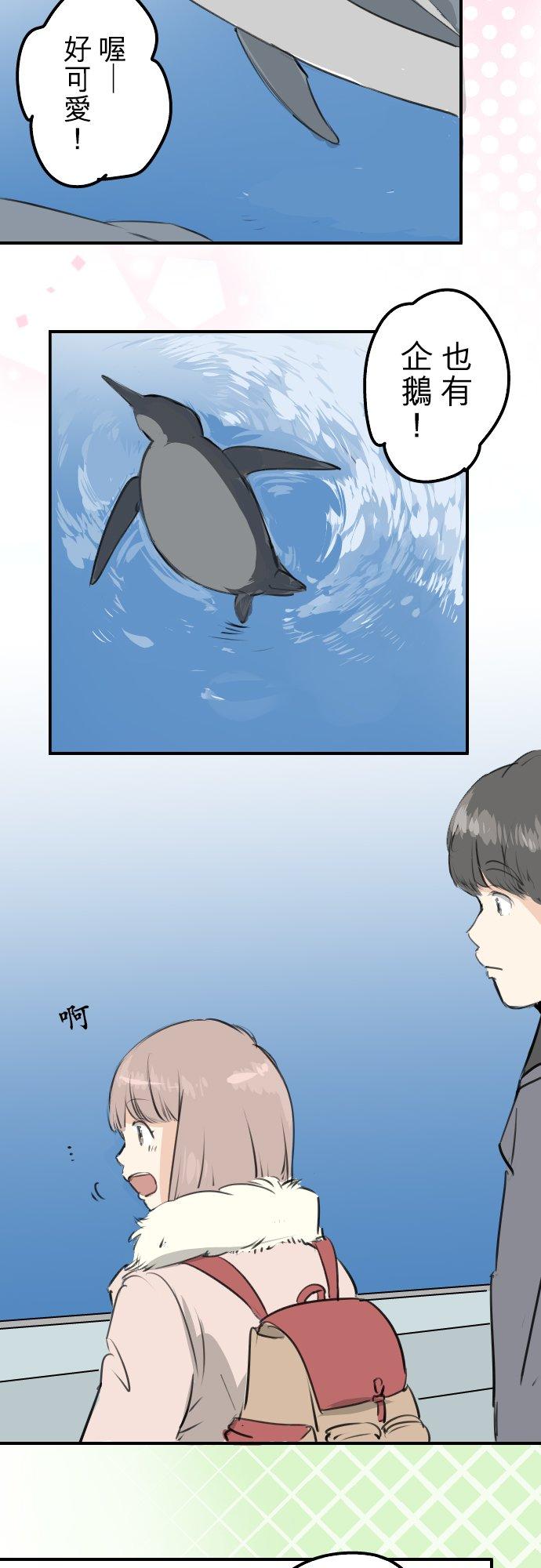 《犬系男子恋爱中》第255话 请看着我 第2页