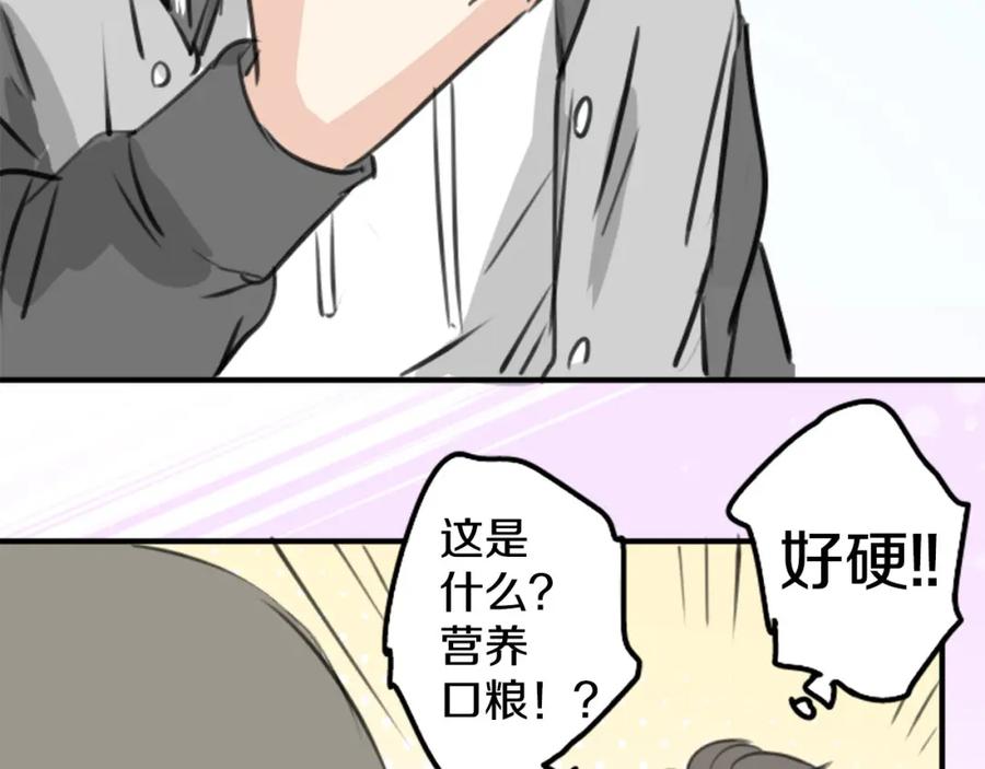 《犬系男子恋爱中》第256话 宣战吗！？ 第33页