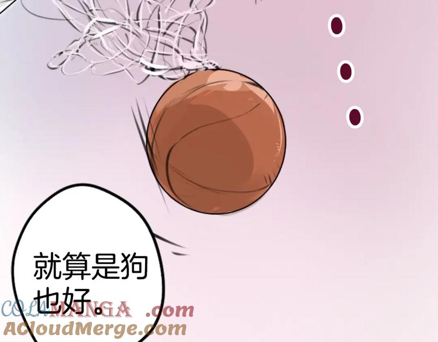 《犬系男子恋爱中》第257话 宣战吗！？（2） 第70页