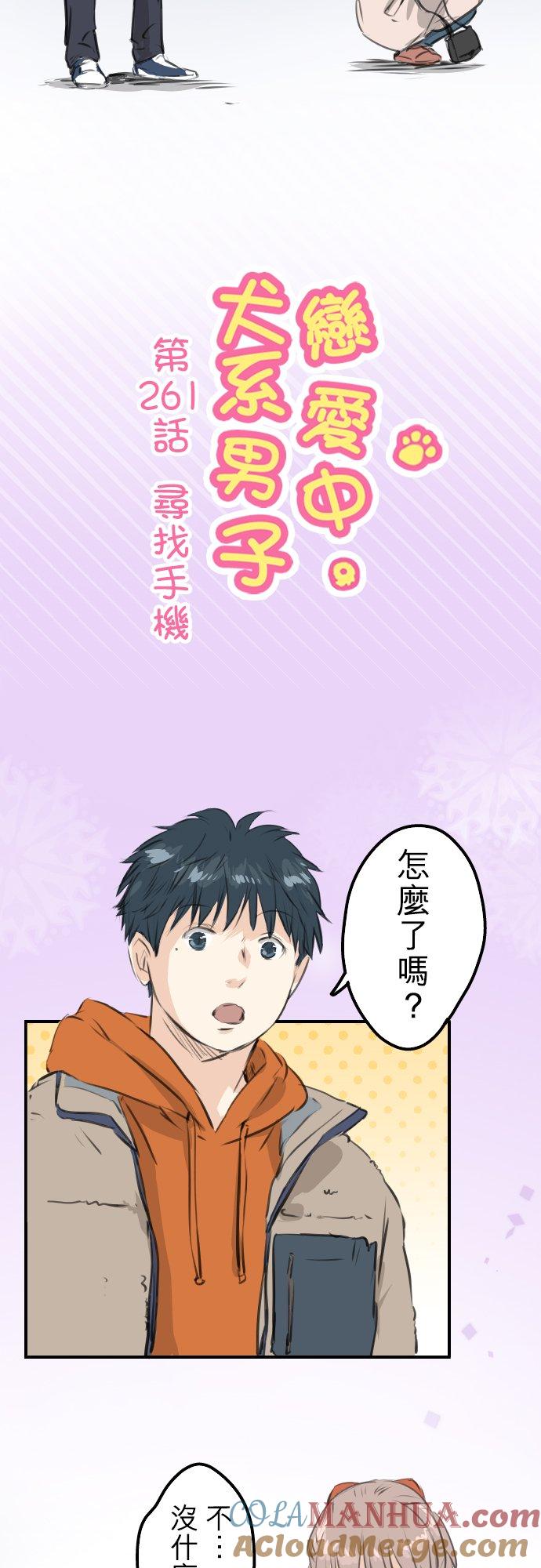 《犬系男子恋爱中》第261话 寻找手机 第3页