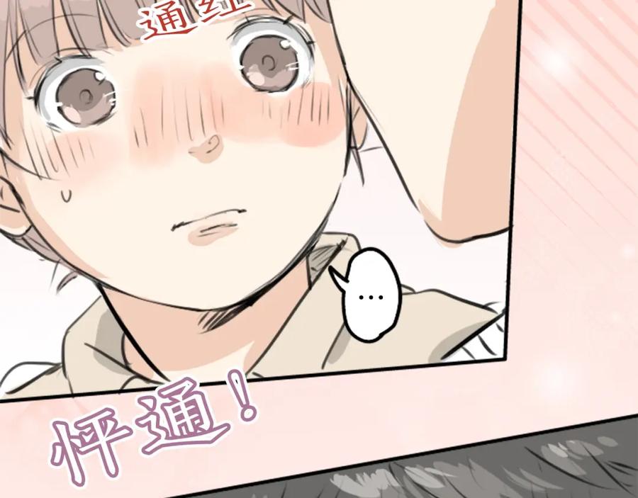 《犬系男子恋爱中》第267话 3月15日（2） 第51页